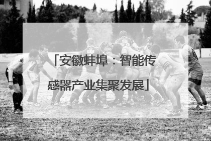 安徽蚌埠：智能传感器产业集聚发展