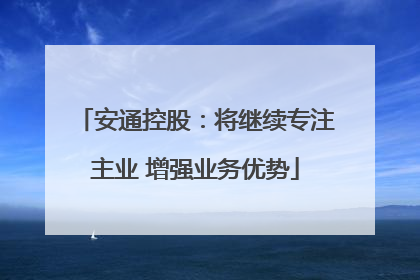 安通控股：将继续专注主业 增强业务优势