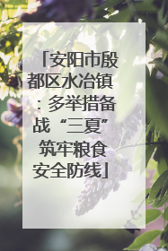 安阳市殷都区水冶镇：多举措备战“三夏” 筑牢粮食安全防线