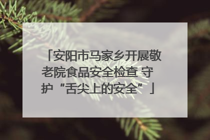安阳市马家乡开展敬老院食品安全检查 守护“舌尖上的安全”