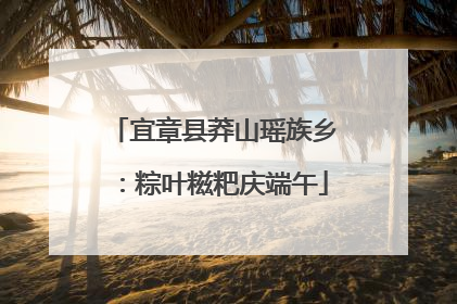 宜章县莽山瑶族乡：粽叶糍粑庆端午