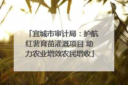 宜城市审计局：护航红薯育苗灌溉项目 助力农业增效农民增收