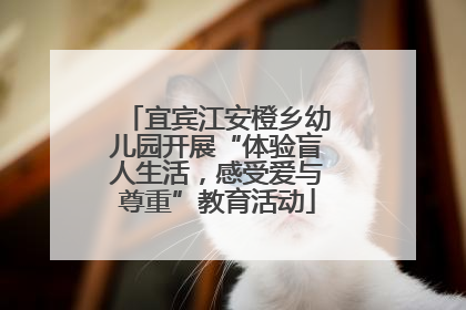 宜宾江安橙乡幼儿园开展“体验盲人生活，感受爱与尊重”教育活动