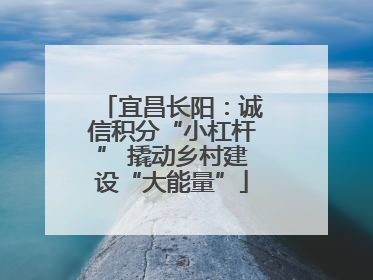 宜昌长阳：诚信积分“小杠杆” 撬动乡村建设“大能量”