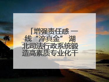 增强责任感 一线“淬真金” 湖北司法行政系统锻造高素质专业化干警队伍