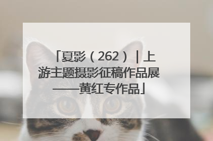 夏影（262）｜上游主题摄影征稿作品展——黄红专作品