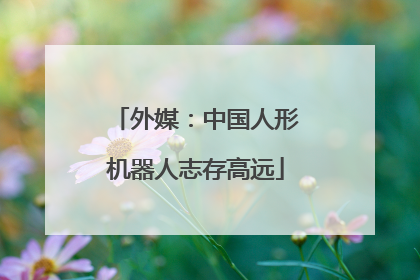 外媒：中国人形机器人志存高远