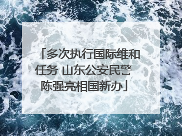 多次执行国际维和任务 山东公安民警陈强亮相国新办