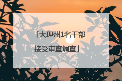 大理州1名干部接受审查调查