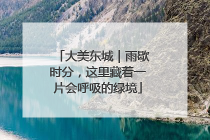 大美东城｜雨歇时分，这里藏着一片会呼吸的绿境