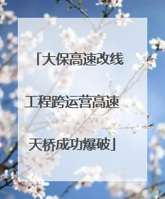 大保高速改线工程跨运营高速天桥成功爆破