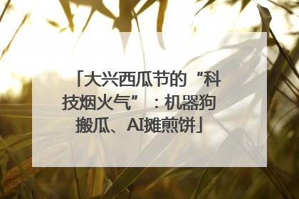 大兴西瓜节的“科技烟火气”：机器狗搬瓜、AI摊煎饼