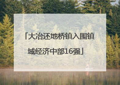 大冶还地桥镇入围镇域经济中部16强