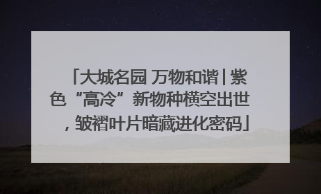 大城名园 万物和谐│紫色“高冷”新物种横空出世，皱褶叶片暗藏进化密码