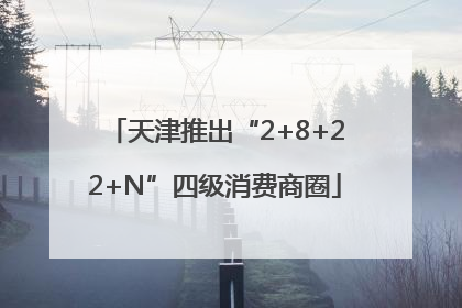 天津推出“2+8+22+N”四级消费商圈