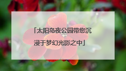 太阳岛夜公园带您沉浸于梦幻光影之中