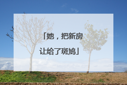 她，把新房让给了斑鸠