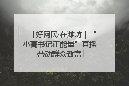 好网民·在潍坊｜“小高书记正能量”直播 带动群众致富