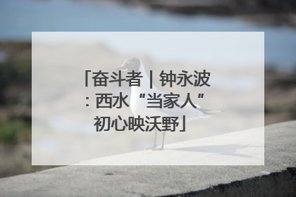 奋斗者｜钟永波：西水“当家人” 初心映沃野
