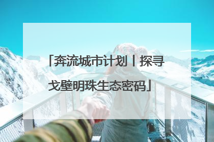 奔流城市计划丨探寻戈壁明珠生态密码
