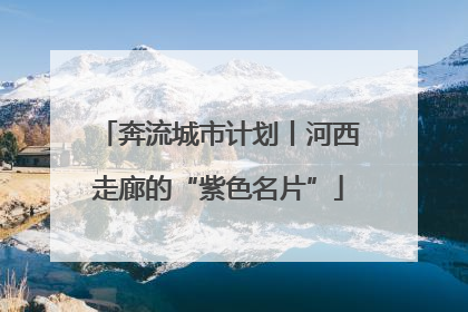 奔流城市计划丨河西走廊的“紫色名片”
