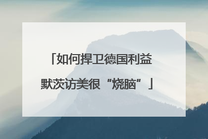 如何捍卫德国利益 默茨访美很“烧脑”