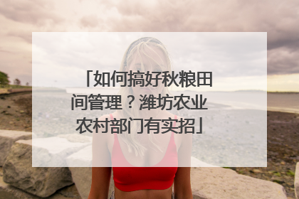 如何搞好秋粮田间管理？潍坊农业农村部门有实招