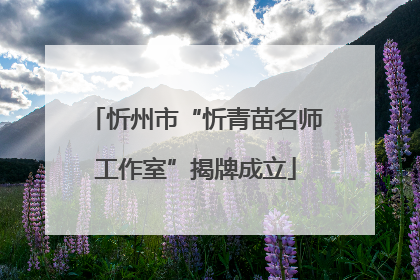 忻州市“忻青苗名师工作室”揭牌成立