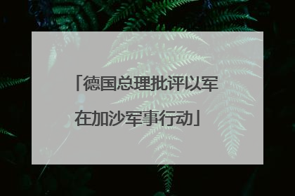 德国总理批评以军在加沙军事行动