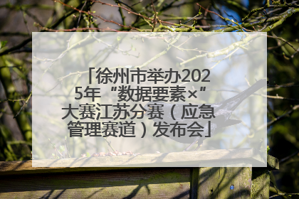 徐州市举办2025年“数据要素×”大赛江苏分赛（应急管理赛道）发布会