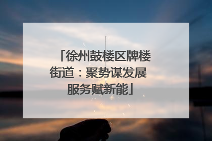 徐州鼓楼区牌楼街道：聚势谋发展 服务赋新能