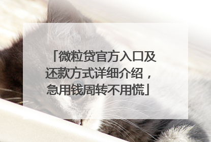 微粒贷官方入口及还款方式详细介绍，急用钱周转不用慌