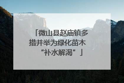 微山县赵庙镇多措并举为绿化苗木“补水解渴”