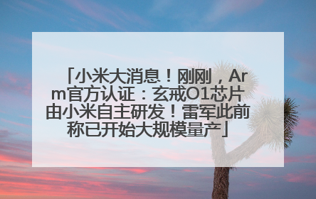 小米大消息！刚刚，Arm官方认证：玄戒O1芯片由小米自主研发！雷军此前称已开始大规模量产