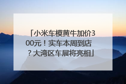 小米车模黄牛加价300元！实车本周到店？大湾区车展将亮相