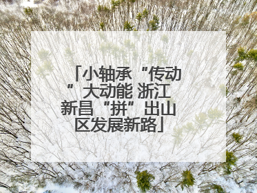 小轴承“传动”大动能 浙江新昌“拼”出山区发展新路
