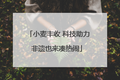小麦丰收 科技助力 非遗也来凑热闹