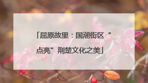 屈原故里：国潮街区“点亮”荆楚文化之美