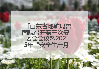 山东省地矿局鲁南院召开第三次安委会会议暨2025年“安全生产月”活动启动仪式
