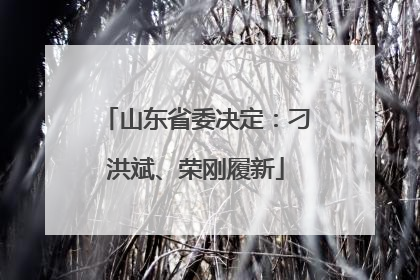 山东省委决定：刁洪斌、荣刚履新