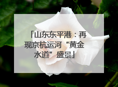 山东东平港：再现京杭运河“黄金水道”盛景