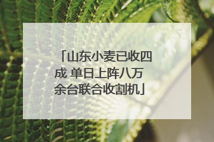 山东小麦已收四成 单日上阵八万余台联合收割机