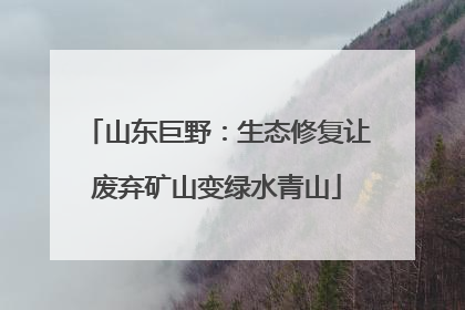 山东巨野：生态修复让废弃矿山变绿水青山