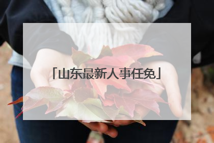 山东最新人事任免