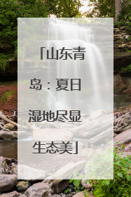 山东青岛：夏日湿地尽显生态美