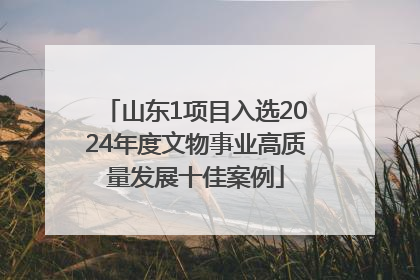 山东1项目入选2024年度文物事业高质量发展十佳案例