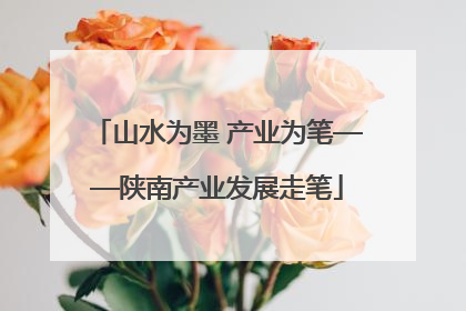 山水为墨 产业为笔——陕南产业发展走笔