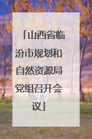 山西省临汾市规划和自然资源局党组召开会议