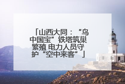 山西大同：“鸟中国宝”铁塔筑巢繁殖 电力人员守护“空中来客”