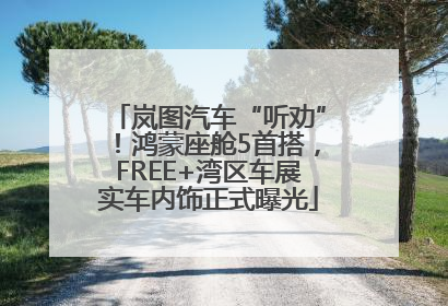 岚图汽车“听劝”！鸿蒙座舱5首搭，FREE+湾区车展实车内饰正式曝光